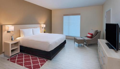 One-Bedroom King Suite with Sofa Bed