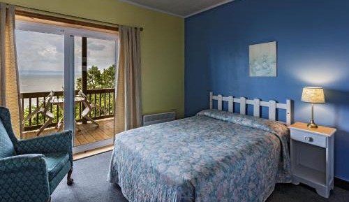 Double Room with One Double Bed