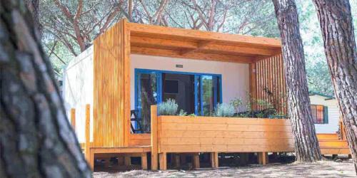 Mobile Home