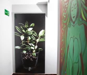 Double Room - Disability Access