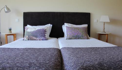 Superior Double or Twin Room with Terrace