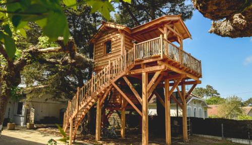 Cabane Perchée
