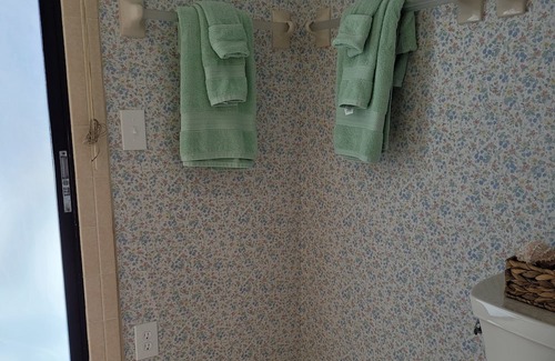 Palm Harbor House | Release and Relax swimming pool or fishing right out your back door