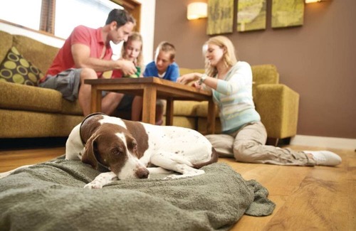 North York Moors National Park Cabin | 3 bedroom accommodation in Cropton, Pickering