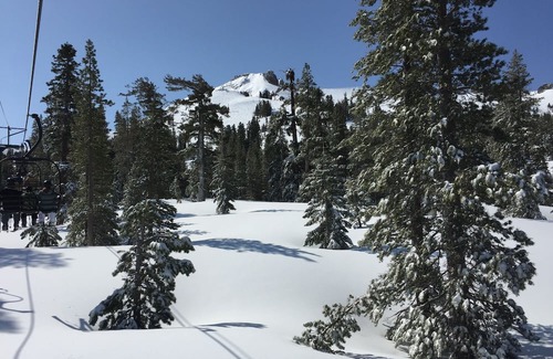 Alpine Northeast House | Backcountry Lovers Retreat - Pet Friendly & Close to Jackson