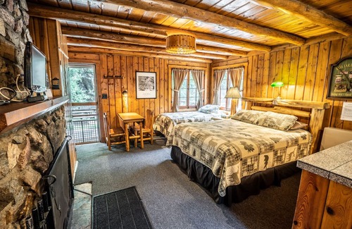 Evergreen Cabin | Colorado Bear Creek Cabin 3