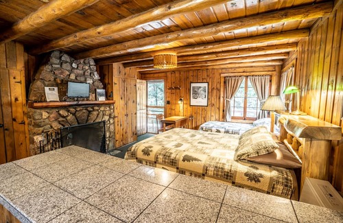 Evergreen Cabin | Colorado Bear Creek Cabin 3