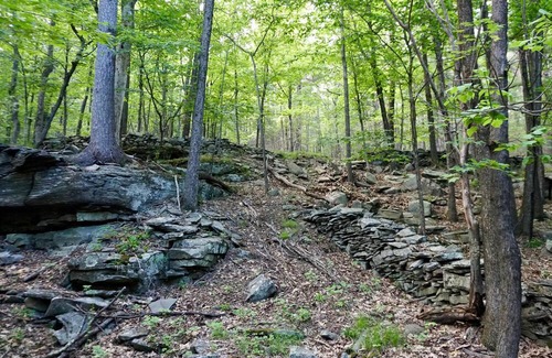 Town of Olive RV Rental | Tentrr Signature Site - Ashokan Reservoir Retreat