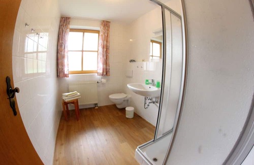 Bayerisch Eisenstein Apartment | Pet-Friendly FEWO 'Rachel' Arberkristall with Kitchen Access