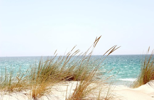 Alghero Villa | Experience Alghero: Independent Home with Pool & Ocean View