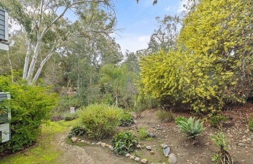 Lake Forest Condo | Artistic Forest View Room
