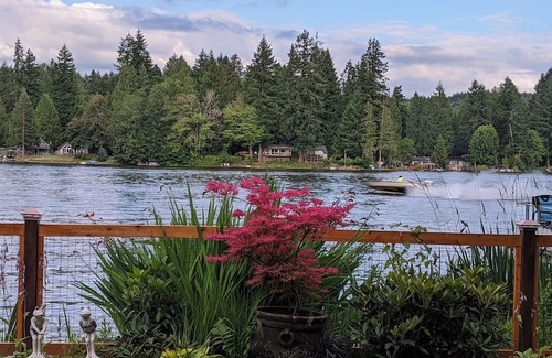 Eatonville House | Experience upscale cabin living at Wolf Lodge our rustic, lakeside retreat!