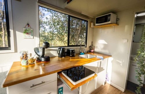 Windeyer House | Dream Alpaca Farm - A Windeyer Outback Experience