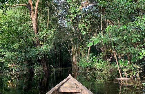 Puerto Narino Cabin | Satori Amazonas ecolodge
