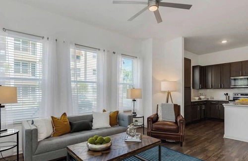 San Marco Apartment | Barsala l 1BD apartment in Downtown Jacksonville