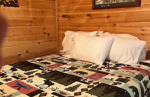 Bingham Cabin | Cozy 1 bedroom cabin with a loft, living space with internet, and a creek!