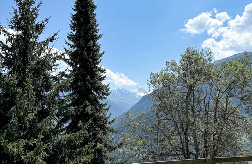 Heremence Ski Chalet | Chalet La Madelon - Ideal for large families