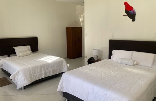 Oxapampa Hotel | Hahn Des Felsens