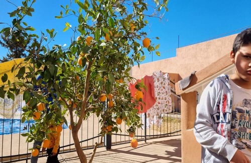 Taghzoute N'Ait Atta Hotel | Villa Kadii Tinghir Oasis