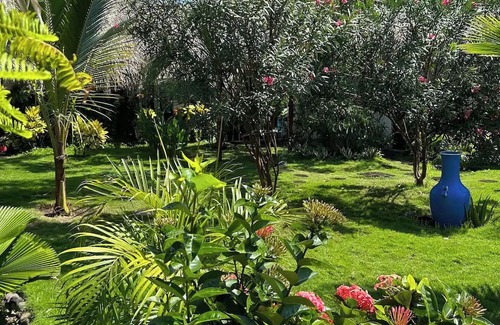 El Paredon House | Loros Bungalow kitchen, private pool "AZURA"