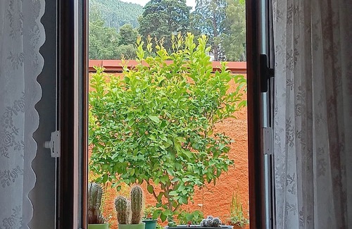Gois Cottage | O Cantinho de Góis. Em Zona Central, Junto a Praias e Outras Comodidades