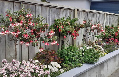 Whanganui Bed & Breakfast | Peaceful City Haven: Cozy BnB Twin Room near Downtown