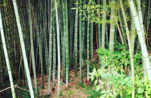 Kibichuo House | Private Traditional Japanese Retreat in Kagagun Okayama