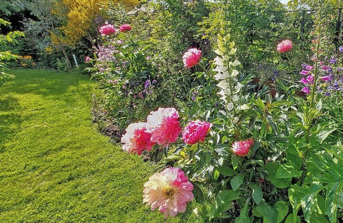 Leeming Bar Cottage | Cozy 1 Bedroom Stay in Leeming Bar near Northallerton