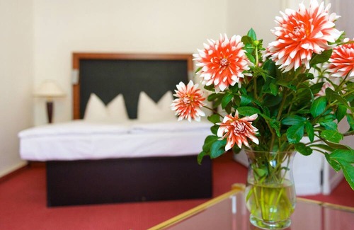 Cottbus House | Single room Standard 2 - Altstadthotel Am Theater