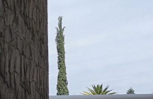 Matehuala Hotel | Discover Hotel Casa Blanca: Spa, Breakfast & Family Friendly