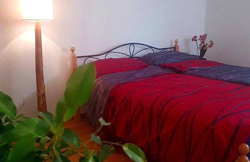Untere Au Apartment | City Vibes & Riverside Retreat: A Unique Central Munich Stay