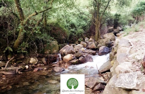 Medelo Apartment | Quinta das Carbonças: Relax Just Steps from the City