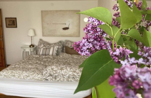 Gastern Apartment | Cozy Cottage for Two in a Tranquil Setting
