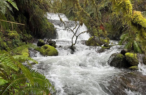 Tillamook Cabin | Enchanting Forest Retreat with Private Waterfall & River Access