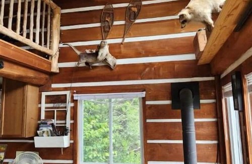 Clarington Cabin | Cozy Dreamers Cabin at Dare2Dream Farm - Family Friendly Stay