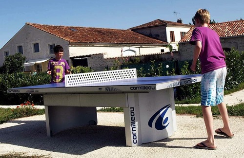 Brives-sur-Charente Apartment | Relax at La Treille: Studio with Garden View, Child Friendly
