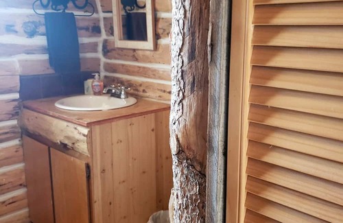 Dubois Cabin | Charming 100-Year-Old Log Cabin by Mountain Creek