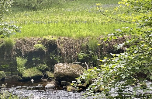 Wadsworth Cottage | Charming Hebden Bridge Cottage with Breathtaking Views