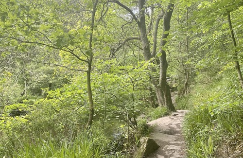 Wadsworth Cottage | Charming Hebden Bridge Cottage with Breathtaking Views