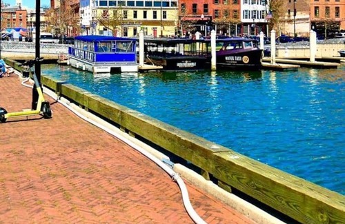 Downtown Baltimore Apartment | Feel at Home in Our Inviting Studio with Kitchen Amenities
