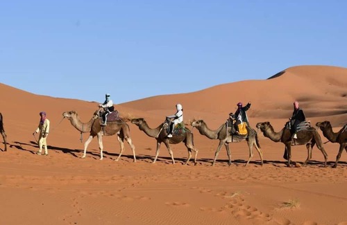Hassilabied RV Rental | Unique Desert Tent with Spa & Breakfast Amenities