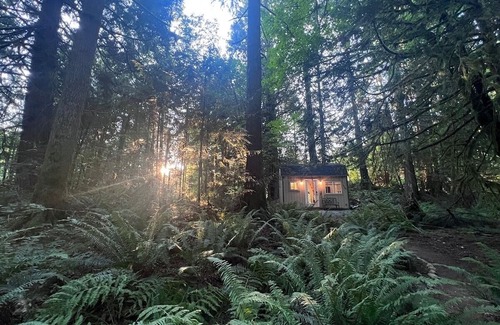 Snohomish Cabin | Cozy Hideaway Cabin: Perfect for Family Getaways