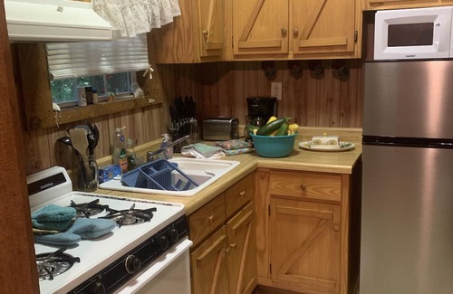 Henning Cabin | Pet-Friendly Hunting Fishing Cabin Near Fort Pillow for Families