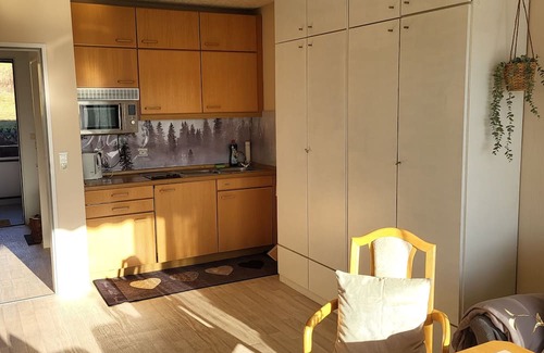 Bad Lauterberg Apartment | Discover Fewo Talblick22: Family-Friendly Retreat with Pool