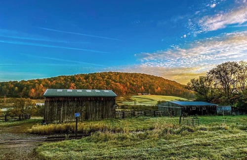 Andover RV Rental | Relaxing Creekside Yurt - Perfect for Families and Adventure