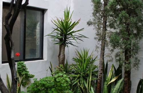 San Luis Potosi House | Discover Hermosa Casa Morelos: Perfect for Group Getaways
