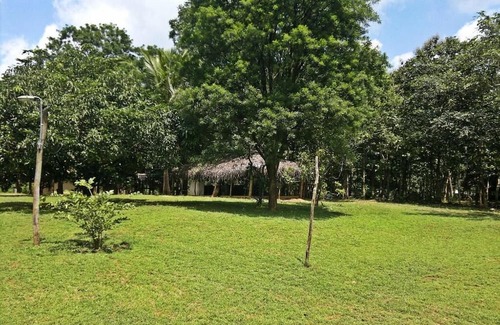 Habarana Cabin | Cozy Cabin Retreat at Eagles Wing's Guest House