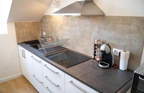 Quartier Hyper-Centre Apartment | Discover L'étoile Grenobloise in the City Center