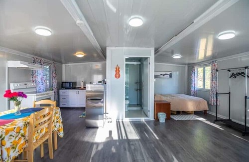 Kawartha Lakes Cabin | Tranquil Cabin in Pine Woods with Breakfast Included
