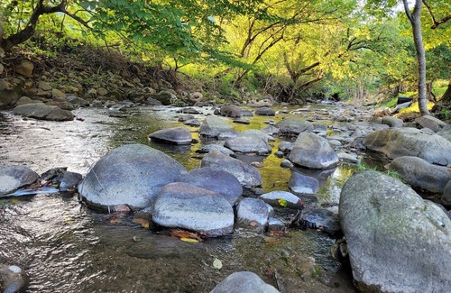 Del Rio Cabin | Reconnect with Nature This Spring at The Spot Hotel